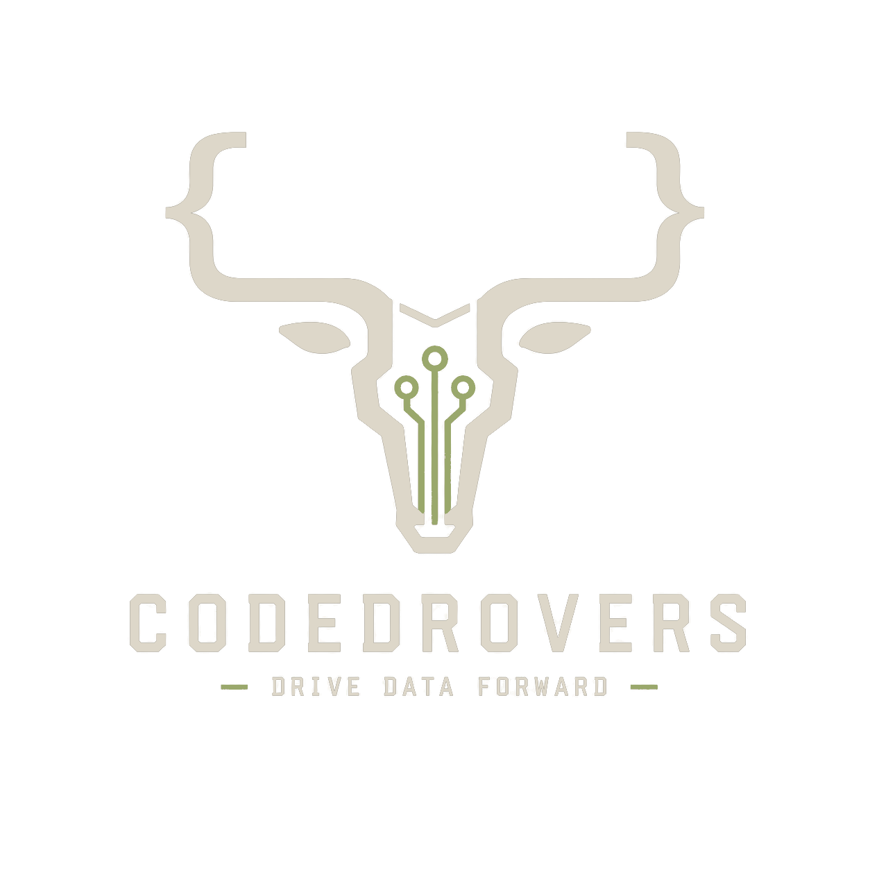 CodeDrovers — drive data forward